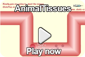 animal tissues game