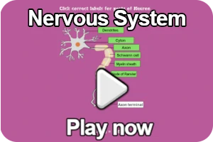 nervous system game