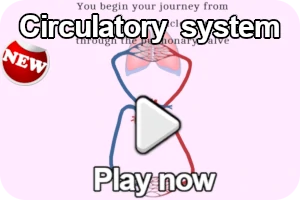 circulatory system game