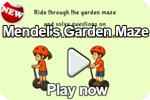 Mendel's laws of inheritance game