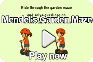 Mendel's garden maze game image