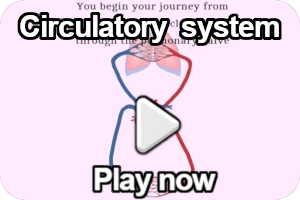 circulatory system game image